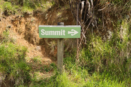 Green summit direction sign beside grassy path